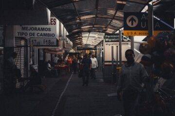 canje FFM forma migratoria múltiple