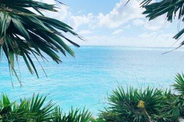 constancia de inscripcion del empleador