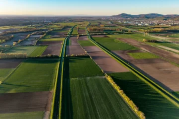 Vast agricultural fields divided by straight roads under sky.