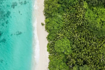Aerial view of undeveloped green coastal land meeting a turquoise Caribbean beach — the kind of lot foreign buyers must verify is not ejido land