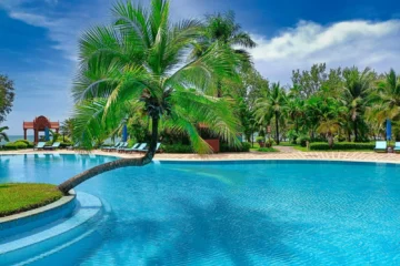 a pool with a palm tree in the middle of it