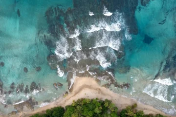 An aerial view of a beach and ocean